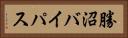 勝沼バイパス Horizontal Portrait