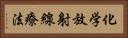 化学放射線療法 Horizontal Portrait
