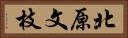 北原文枝 Horizontal Portrait