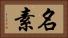 名素 Horizontal Portrait