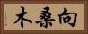 向桑木 Horizontal Portrait