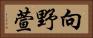 向野萱 Horizontal Portrait