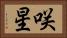 咲星 Horizontal Portrait