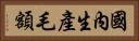 國內生產毛額 Horizontal Portrait