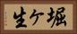 堀ヶ生 Horizontal Portrait
