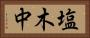 塩木中 Horizontal Portrait