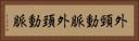 外頸動脈 Horizontal Portrait