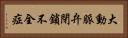 大動脈弁閉鎖不全症 Horizontal Portrait