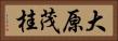 大原茂桂 Horizontal Portrait