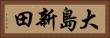 大島新田 Horizontal Portrait