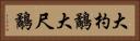 大杓鷸 Horizontal Portrait