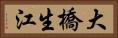大橋生江 Horizontal Portrait