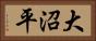 大沼平 Horizontal Portrait