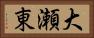 大瀬東 Horizontal Portrait