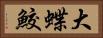 大蝶鮫 Horizontal Portrait