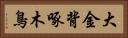 大金背啄木鳥 Horizontal Portrait