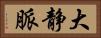 大静脈 Horizontal Portrait