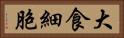 大食細胞 Horizontal Portrait