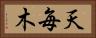 天毎木 Horizontal Portrait