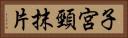 子宮頸抹片 Horizontal Portrait