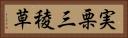 実栗 Horizontal Portrait