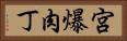 宮爆肉丁 Horizontal Portrait