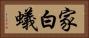 家白蟻 Horizontal Portrait