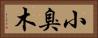 小臭木 Horizontal Portrait