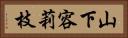 山下容莉枝 Horizontal Portrait