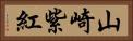 山崎紫紅 Horizontal Portrait