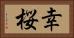 幸桜 Horizontal Portrait