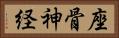 座骨神経 Horizontal Portrait