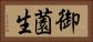 御薗生 Horizontal Portrait