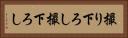 撮り下ろし Horizontal Portrait