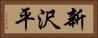 新沢平 Horizontal Portrait
