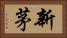 新茅 Horizontal Portrait