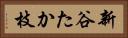 新谷たか枝 Horizontal Portrait