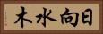 日向水木 Horizontal Portrait