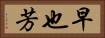 早也芳 Horizontal Portrait