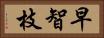 早智枝 Horizontal Portrait
