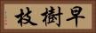 早樹枝 Horizontal Portrait