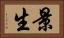 景生 Horizontal Portrait