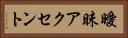 曖昧アクセント Horizontal Portrait