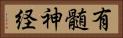 有髄神経 Horizontal Portrait