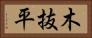 木抜平 Horizontal Portrait