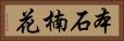 本石楠花 Horizontal Portrait