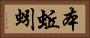 本蚯蚓 Horizontal Portrait