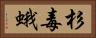 杉毒蛾 Horizontal Portrait