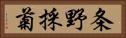 条野採菊 Horizontal Portrait