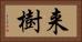 来樹 Horizontal Portrait